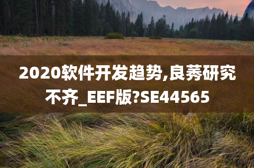 2020软件开发趋势,良莠研究不齐_EEF版?SE44565