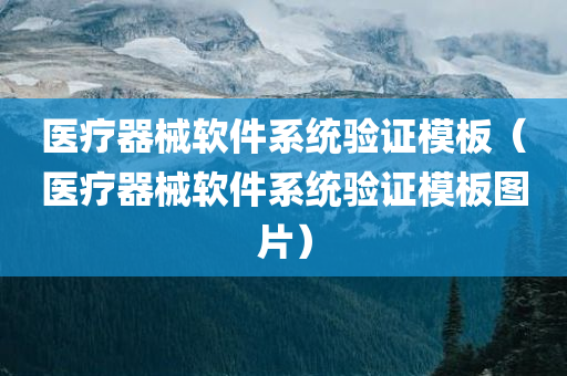 医疗器械软件系统验证模板（医疗器械软件系统验证模板图片）