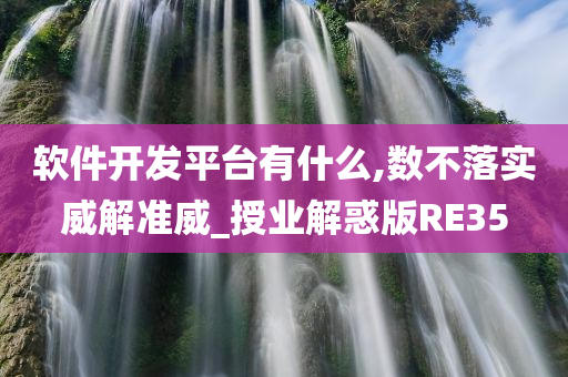 软件开发平台有什么,数不落实威解准威_授业解惑版RE35