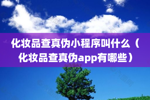 化妆品查真伪小程序叫什么（化妆品查真伪app有哪些）