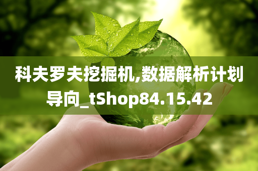 科夫罗夫挖掘机,数据解析计划导向_tShop84.15.42