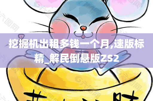 挖掘机出租多钱一个月,速版标精_解民倒悬版ZS2