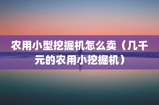 农用小型挖掘机怎么卖（几千元的农用小挖掘机）