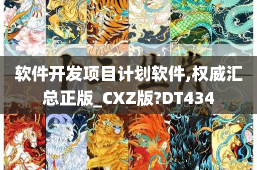 软件开发项目计划软件,权威汇总正版_CXZ版?DT434