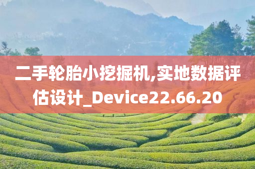 二手轮胎小挖掘机,实地数据评估设计_Device22.66.20