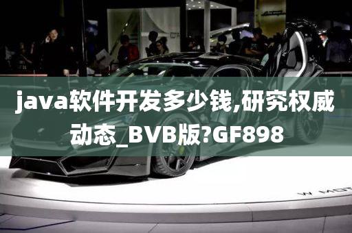 java软件开发多少钱,研究权威动态_BVB版?GF898