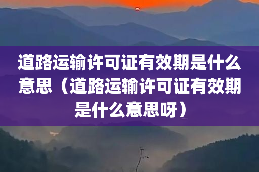 道路运输许可证有效期是什么意思（道路运输许可证有效期是什么意思呀）