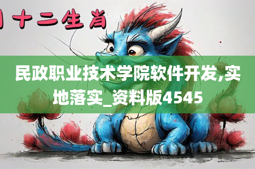 民政职业技术学院软件开发,实地落实_资料版4545