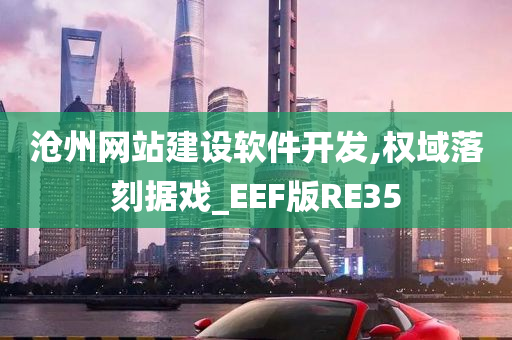 沧州网站建设软件开发,权域落刻据戏_EEF版RE35