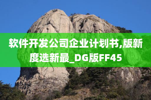 软件开发公司企业计划书,版新度选新最_DG版FF45