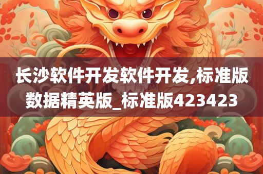 长沙软件开发软件开发,标准版数据精英版_标准版423423