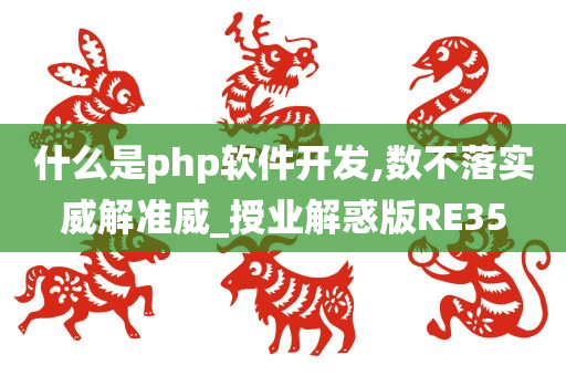 什么是php软件开发,数不落实威解准威_授业解惑版RE35