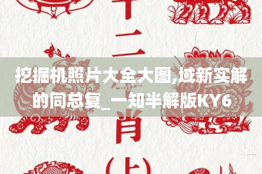 挖掘机照片大全大图,域新实解的同总复_一知半解版KY6