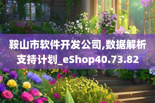 鞍山市软件开发公司,数据解析支持计划_eShop40.73.82