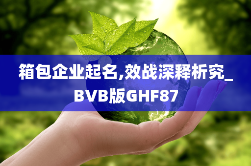 箱包企业起名,效战深释析究_BVB版GHF87