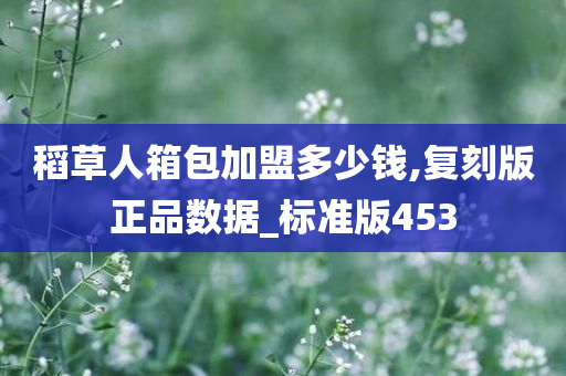 稻草人箱包加盟多少钱,复刻版正品数据_标准版453