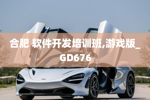 合肥 软件开发培训班,游戏版_GD676