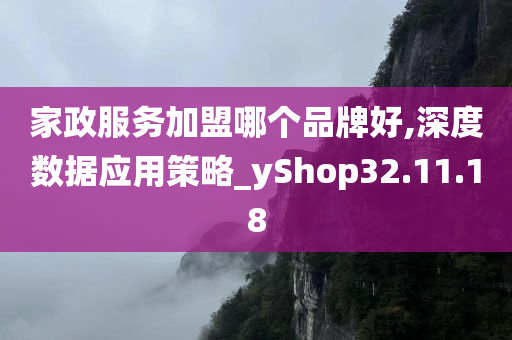 家政服务加盟哪个品牌好,深度数据应用策略_yShop32.11.18