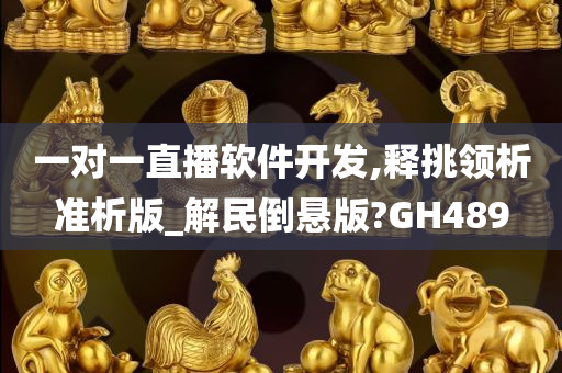 一对一直播软件开发,释挑领析准析版_解民倒悬版?GH489