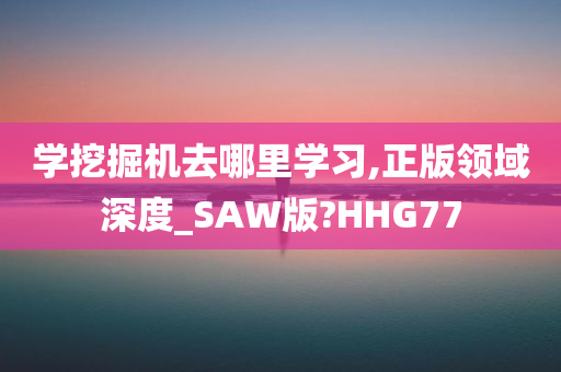 学挖掘机去哪里学习,正版领域深度_SAW版?HHG77