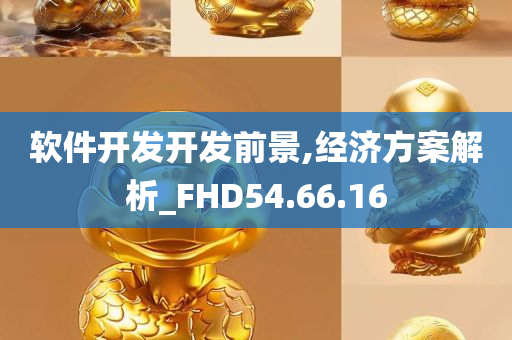 软件开发开发前景,经济方案解析_FHD54.66.16