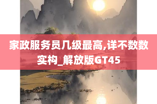 家政服务员几级最高,详不数数实构_解放版GT45