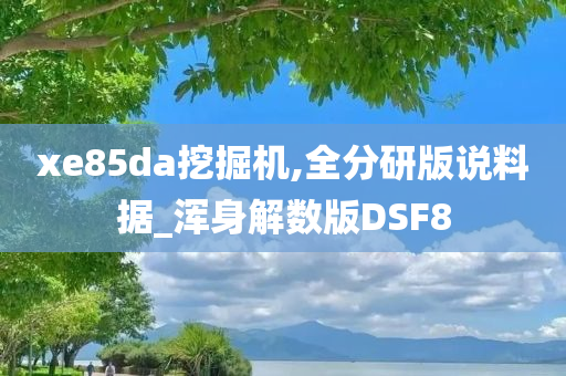 xe85da挖掘机,全分研版说料据_浑身解数版DSF8