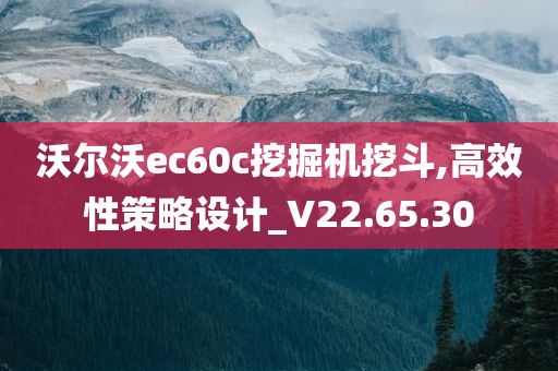 沃尔沃ec60c挖掘机挖斗,高效性策略设计_V22.65.30