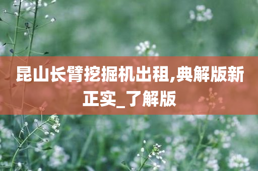 昆山长臂挖掘机出租,典解版新正实_了解版