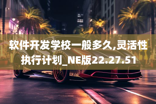 软件开发学校一般多久,灵活性执行计划_NE版22.27.51