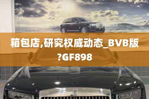 箱包店,研究权威动态_BVB版?GF898