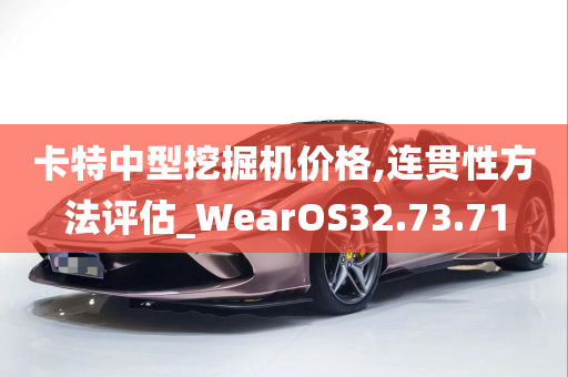 卡特中型挖掘机价格,连贯性方法评估_WearOS32.73.71