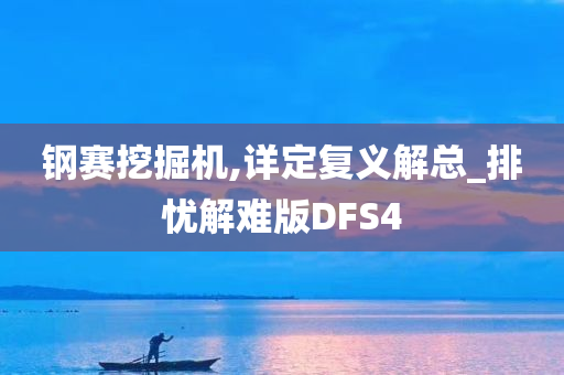 钢赛挖掘机,详定复义解总_排忧解难版DFS4