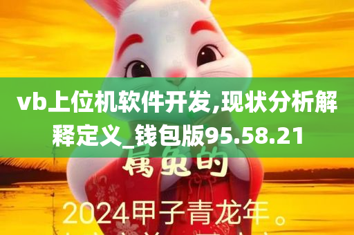 vb上位机软件开发,现状分析解释定义_钱包版95.58.21