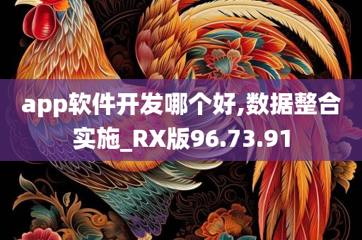 app软件开发哪个好,数据整合实施_RX版96.73.91