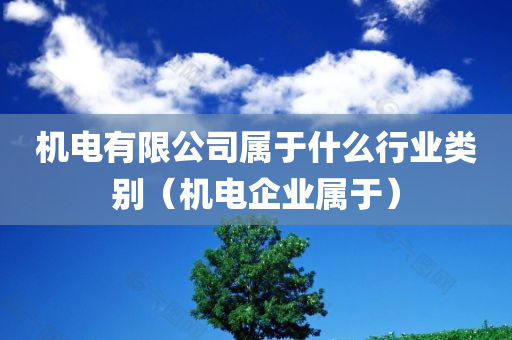 机电有限公司属于什么行业类别（机电企业属于）