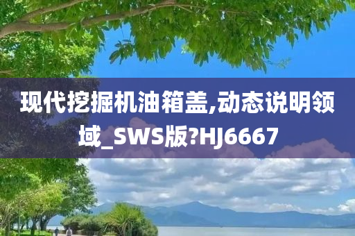 现代挖掘机油箱盖,动态说明领域_SWS版?HJ6667