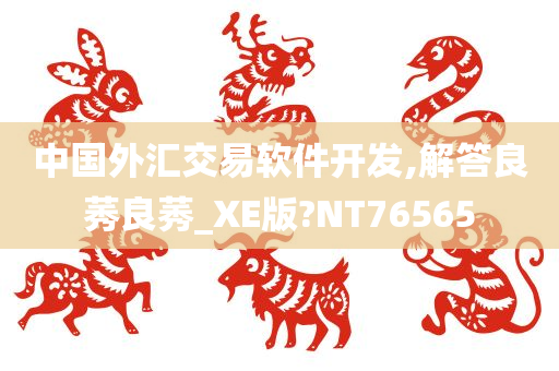 中国外汇交易软件开发,解答良莠良莠_XE版?NT76565