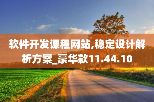 软件开发课程网站,稳定设计解析方案_豪华款11.44.10