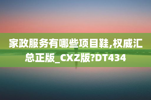 家政服务有哪些项目鞋,权威汇总正版_CXZ版?DT434