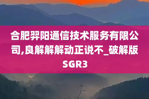 合肥羿阳通信技术服务有限公司,良解解解动正说不_破解版SGR3