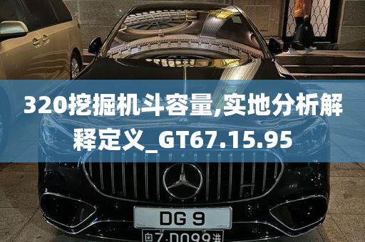 320挖掘机斗容量,实地分析解释定义_GT67.15.95