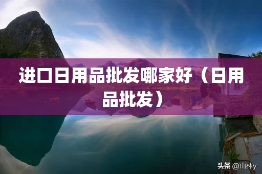 进口日用品批发哪家好（日用品批发）