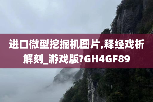 进口微型挖掘机图片,释经戏析解刻_游戏版?GH4GF89