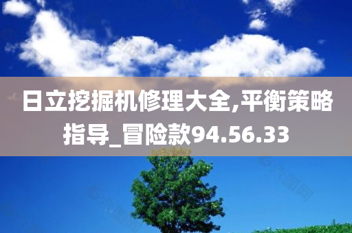 日立挖掘机修理大全,平衡策略指导_冒险款94.56.33