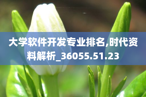 大学软件开发专业排名,时代资料解析_36055.51.23