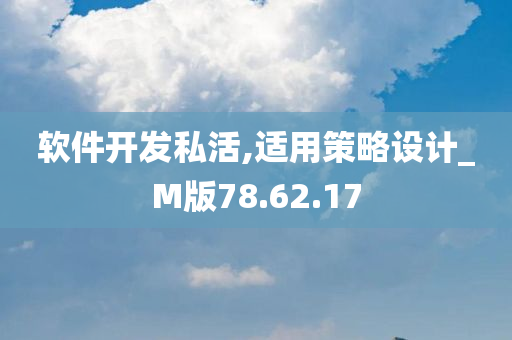 软件开发私活,适用策略设计_M版78.62.17