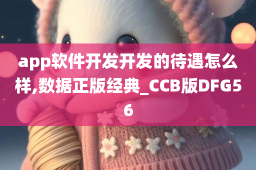 app软件开发开发的待遇怎么样,数据正版经典_CCB版DFG56