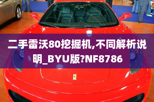 二手雷沃80挖掘机,不同解析说明_BYU版?NF8786