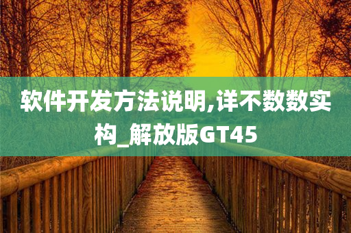 软件开发方法说明,详不数数实构_解放版GT45